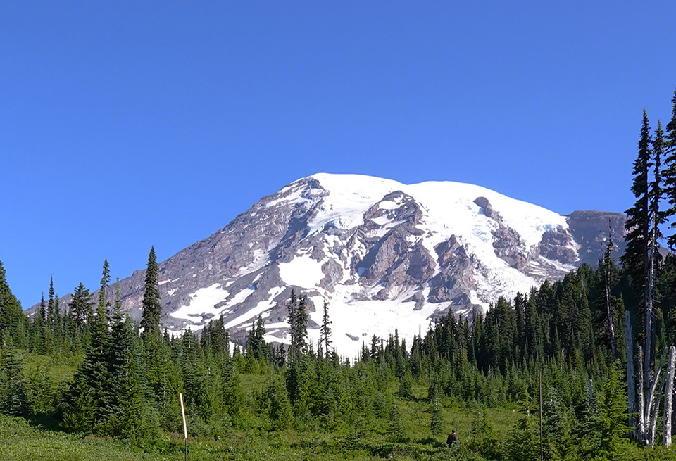 Mount Rainier’s snowy summit above the green meadows of Paradise